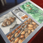 CREAPOLE ecole design prepa manaa noix dessin